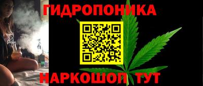 крисы Рузаевка
