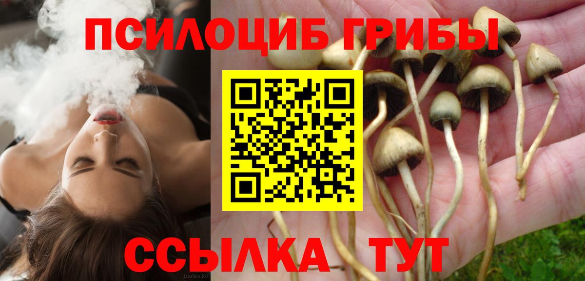 Ростов Великий  Псилоцибиновые грибы GOLDEN TEACHER  Псилоцибиновые грибы прущие грибы  Вход с VPN 